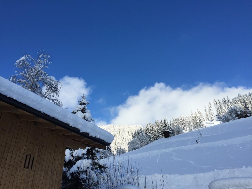 شقة فيرينفونونغن أونتيرليغوت Mühlbach am Hochkönig المظهر الخارجي الصورة
