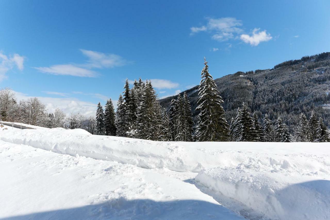 شقة فيرينفونونغن أونتيرليغوت Mühlbach am Hochkönig المظهر الخارجي الصورة